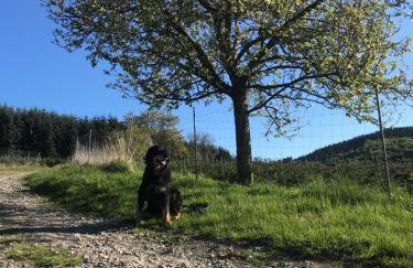 Ortmanns Eulennest - Foto 38