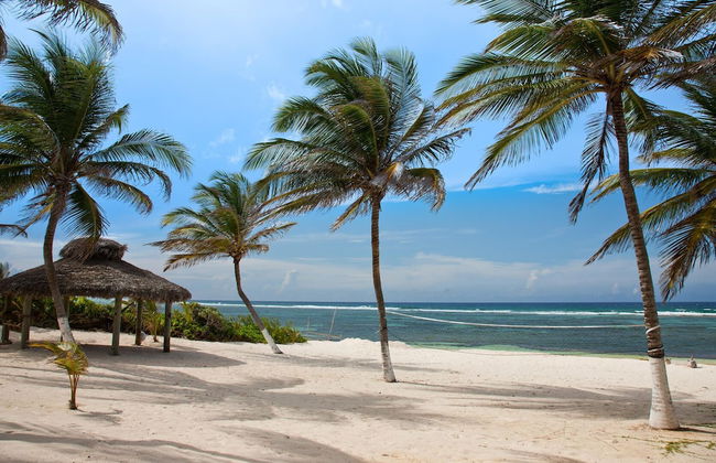 Sea Grape - Photo 28