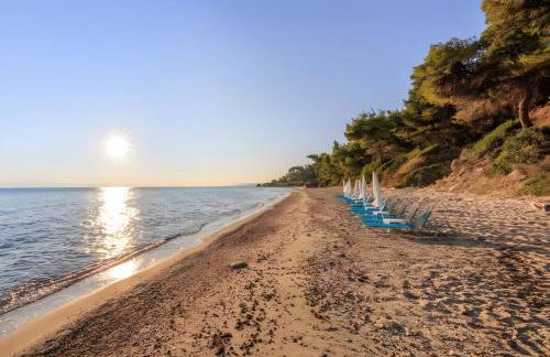 Four Seasons - The Eco Friendly Villa - Foto 44