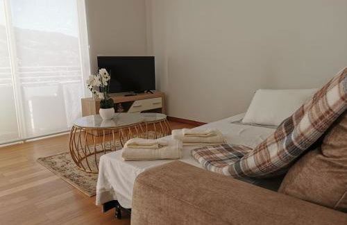 Pico Barcelos - Funchal - Foto 26