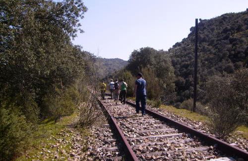 Apartamento Sanin 3 - Foto 19