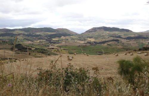 Agriturismo San Pietro - Foto 55