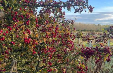 Gardener's Cottage - Foto 48