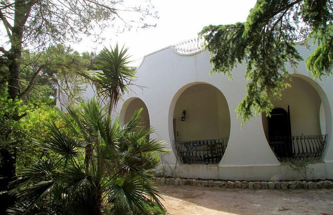 Villa Le Cesine - Photo 16