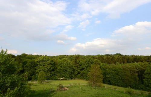 Quiet Nature Near Cologne 1 - Foto 16