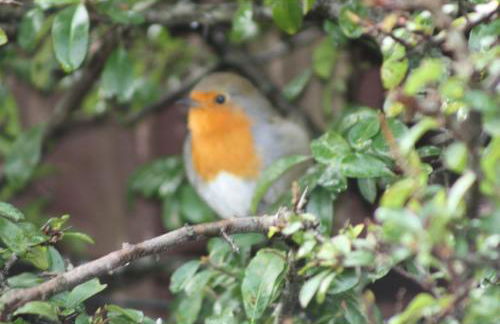 Queens Road Rental - Winchester Accommodation - Foto 70