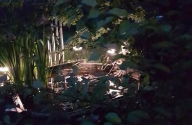 die perfekte Auszeit - Foto 10