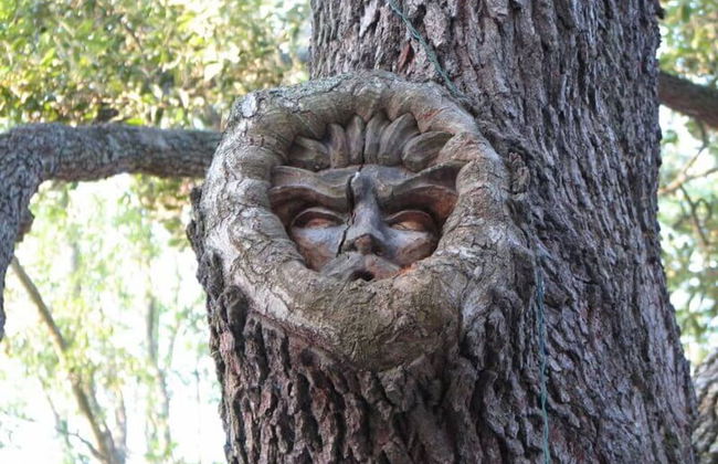 111 Mews Circle by Hodnett Cooper - Foto 15