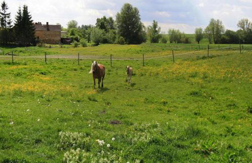 Ferienhaus, Zahrensdorf - Foto 25
