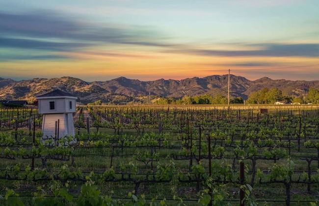 French Provencal Chateau in the Heart of Napa - Foto 25