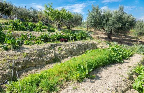 Muses Panoramic View, Minutes from Knossos Minoan Palace - Foto 32