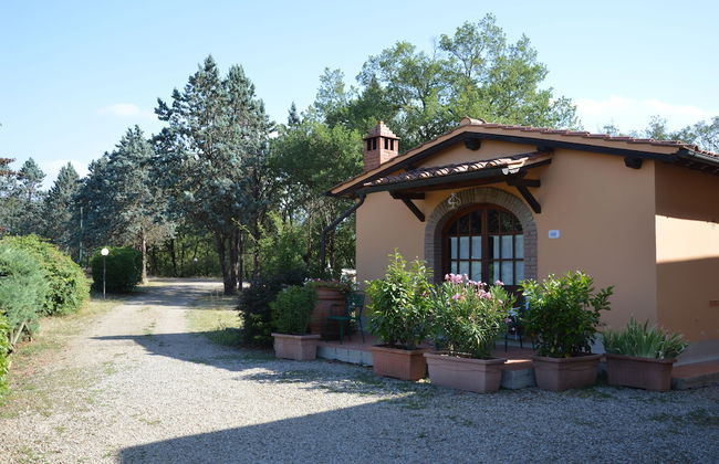 Podere San Lorenzo - Foto 55