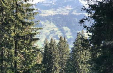 appartement in de Haute Savoie (Saint Jean de Sixt) - Photo 21