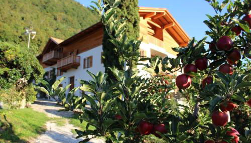 Greiterhof - Foto 3, Garden