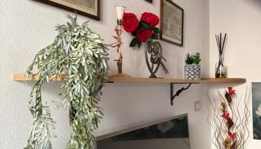 Rosa Life House - Foto 3