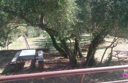 Apartments Juretic - Photo 37