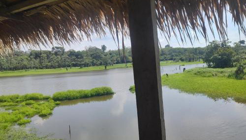 Amazônia Residencial Romulo Tour 3 - Foto 3