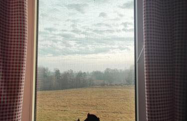 Siedlisko na łące - Foto 49