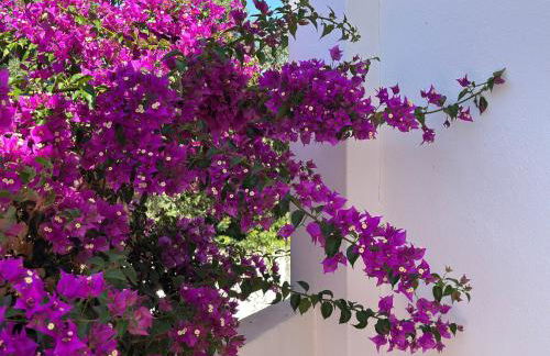 Villa Tara Christina - Photo 14