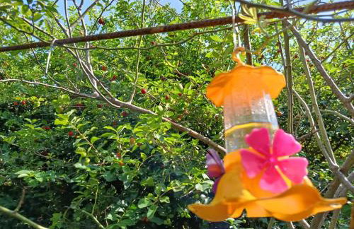 Refúgio Sereno São Seba - Foto 16