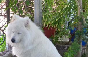 Villa Nantia - Photo 10