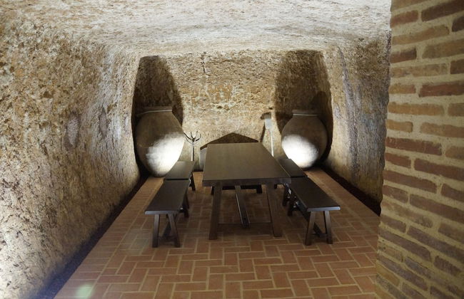 Casas de Valois - Photo 45