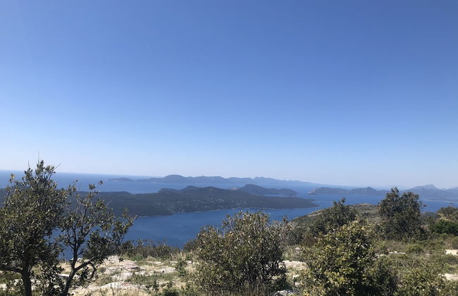 Vila Riva Apartments - Photo 41