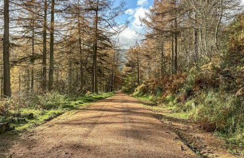 The Old Stables - Photo 10