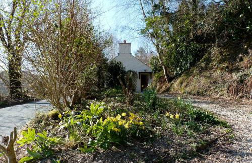 Pretty sunny cottage, Machynlleth - Photo 21