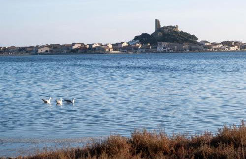 Villa des Cathares - Foto 53