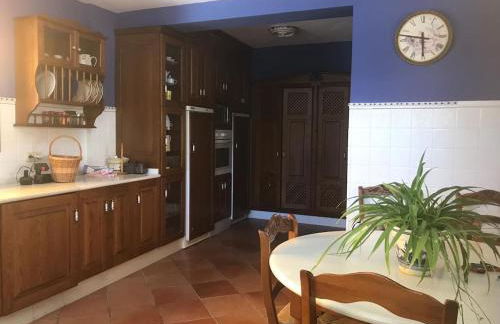 Paredejas del Rey - Foto 14