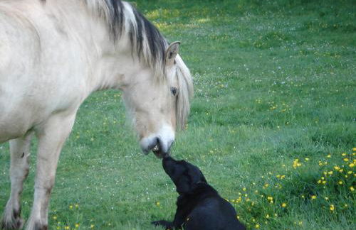 Landferienhof Garbert - Foto 7