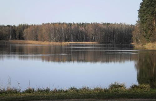 Ferienhäuser Waldidyll - Foto 7