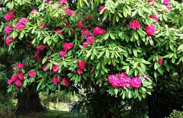 Slow House y La cabaña de Miss Slower - Foto 21