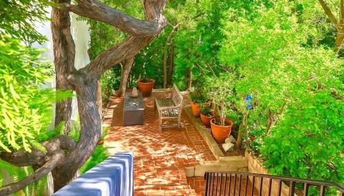 Chic Private Hollywood Hills Guest Suite Oasis with Tree-Top Views, Outdoor Living Room, Only 2 Minutes from Hollywood Boulevard - Foto 3, Garden