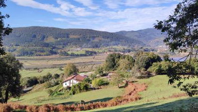 OZAMIZ Urdaibai - Foto 4