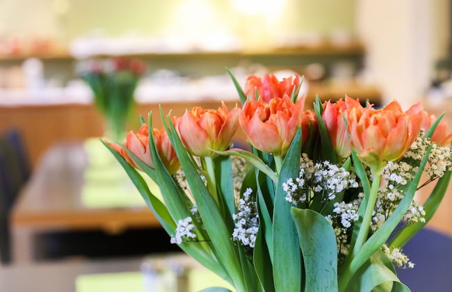 Hotel Tornet - Foto 24