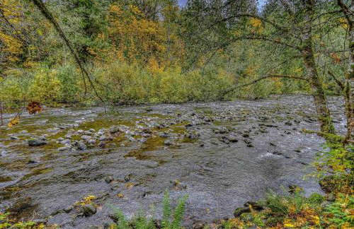 Salmon River Chalet - Meredith Lodging - Foto 49