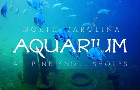 Outback Fifth Wheel at Seaside Cottages - Foto 10