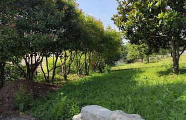 Studio avec vue - Foto 16