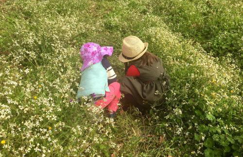 Family Secrets Douro - Foto 17