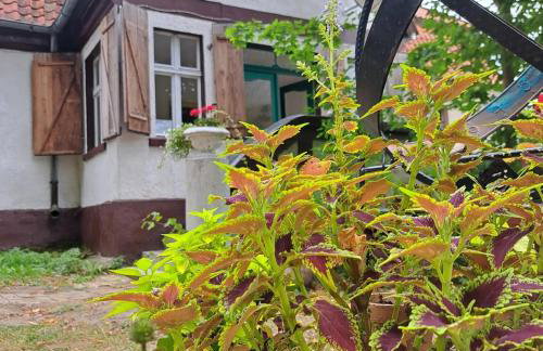 Dom na Mazurach Pilec- Apartament - Foto 21