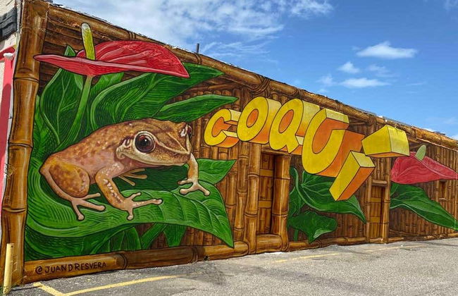 Visita guiada por Yaucromatic - Foto 8