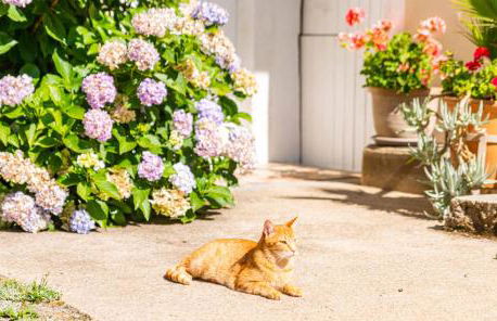 Les Cabanes d'Hestia - Foto 61