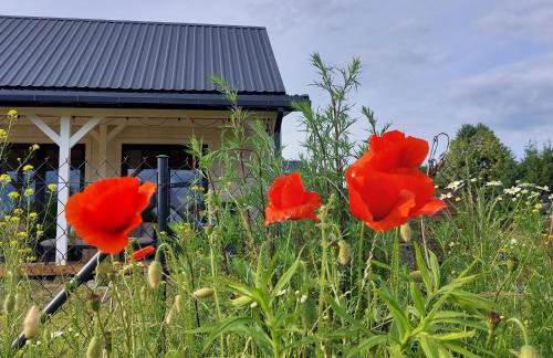 SzumiPuszcza - domki z sauną lub balią - Foto 23