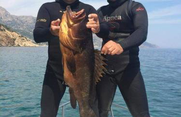 Ikaria Studios - Photo 73