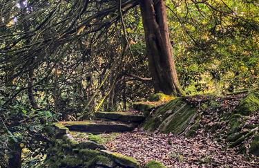 Eller How House - Private Regency Property & Lake - Foto 37