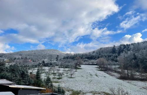 Premium Suite - Waldblick - Balkon - Schwarzwald - Photo 19