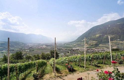 Unterötzbauerhof - Fewo Rosenblick - Foto 19