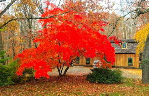 Peaceful Getaway above a Beautiful Yoga Studio near Devil's Den Nature Preserve, Connecticut - Foto 8
